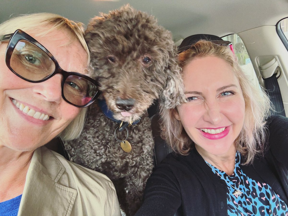 Anna Mazzola - Updates only. tweet media