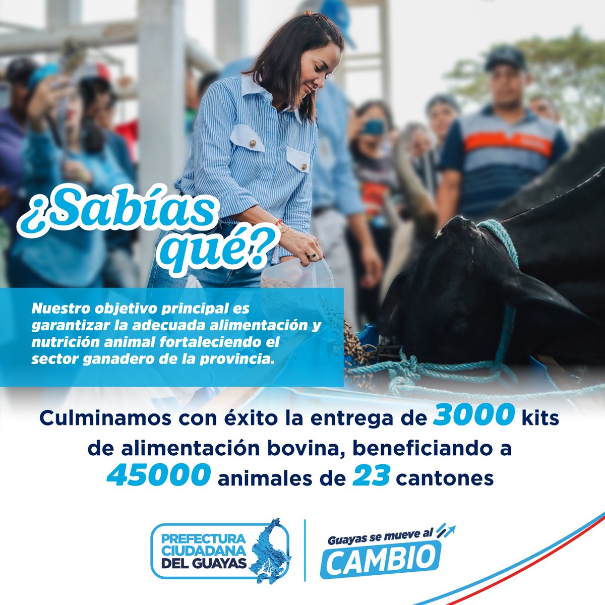 Guayas_Prod's tweet photo. Nos complace informar que hemos culminado con éxito la entrega de kits para alimento bovino, beneficiando a nuestro sector ganadero, fortaleciendo la economía local y asegurando un futuro más productivo.🐄👏🎉

#GuayasSeMueveAlCambio https://t.co/2khzGwQMmK