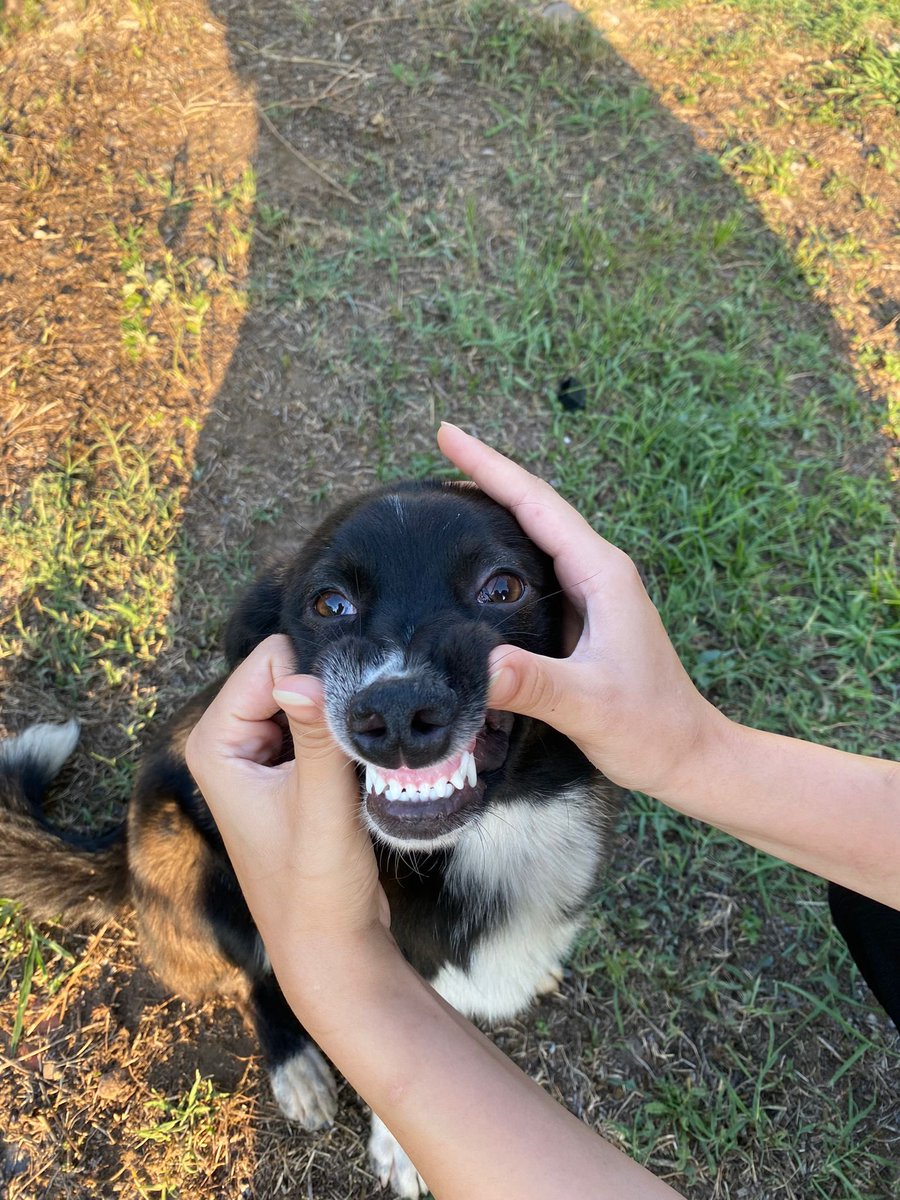 #YasayiGeriÇek #yasayahayır #YasaDegilCinayet