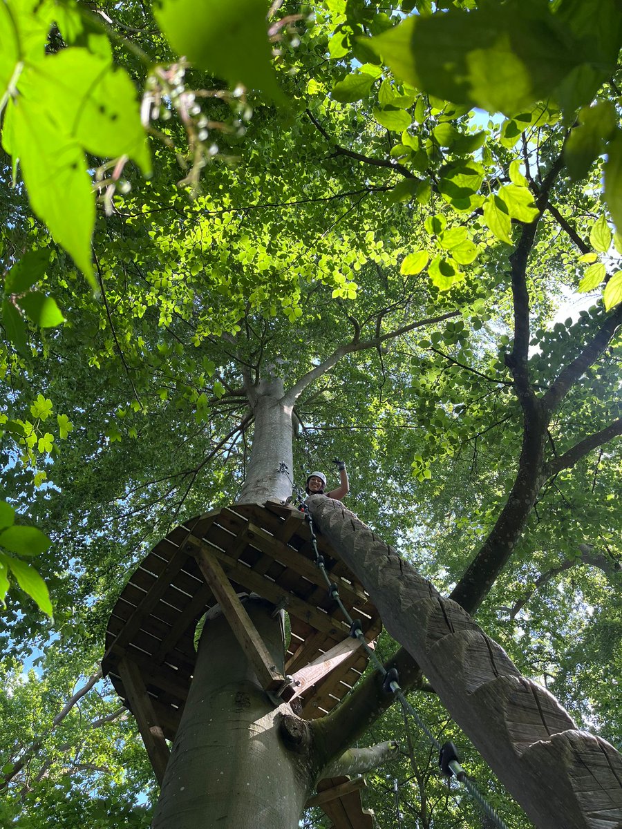 Chiara Ferrazzoli tweet media