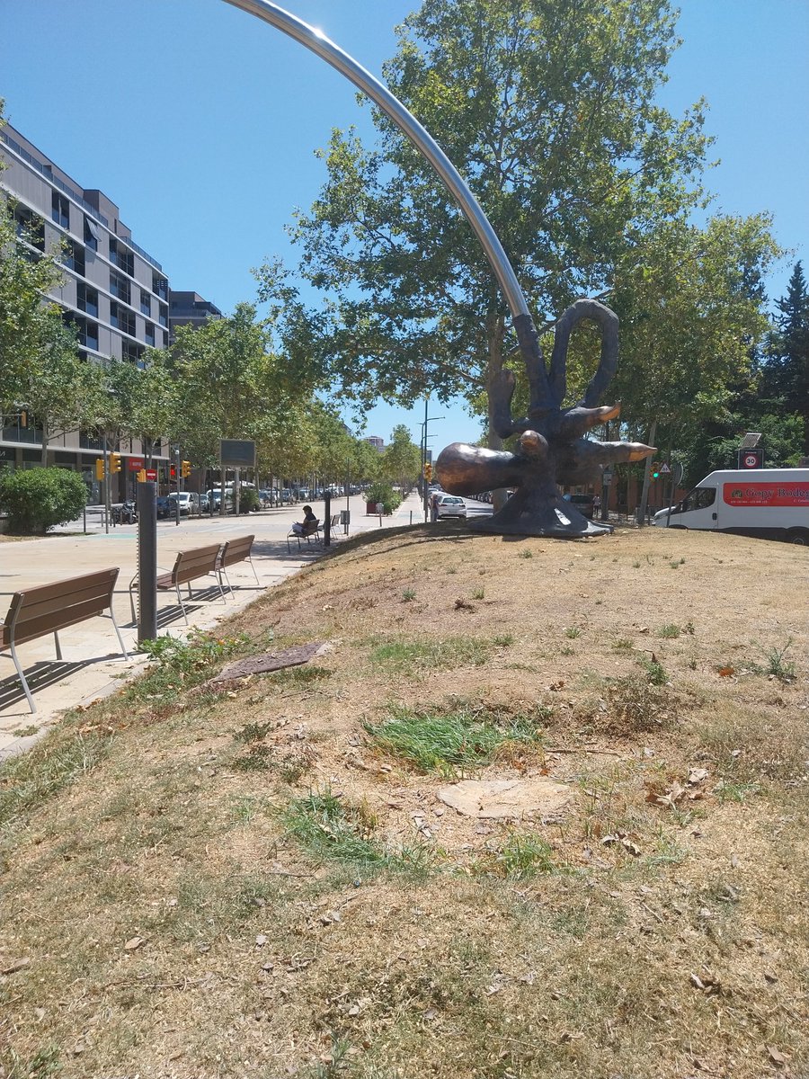 repintaooo7's tweet photo. El martes un nuevo arbicidio en Lhopitalet, vayas por donde vayas ves uno menos, es un drama lo que está pasando en nuestra ciudad,cada día más edificios y menos árboles, ¿ sequía o falta de mantenimiento?
El tema es que los restos no parecen muy enfermos https://t.co/IddwKL8hDF
