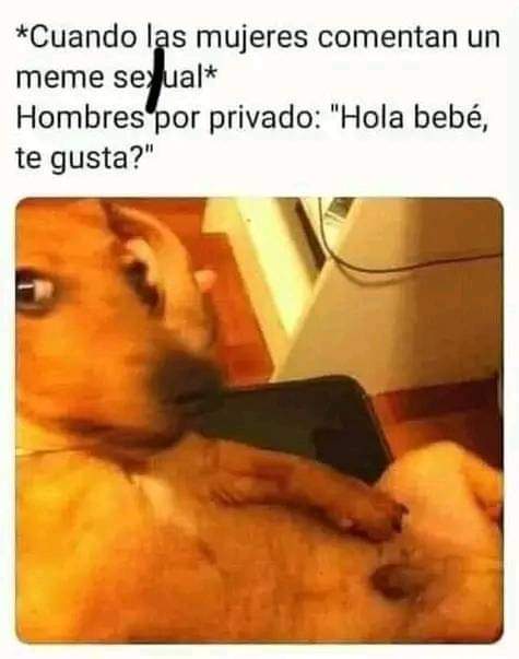 OkanyD's tweet photo. Quieres hacer un video con migo 
Sexual 
Déjame privado 
Y chocamos a veneficio https://t.co/IV12GiCcTU