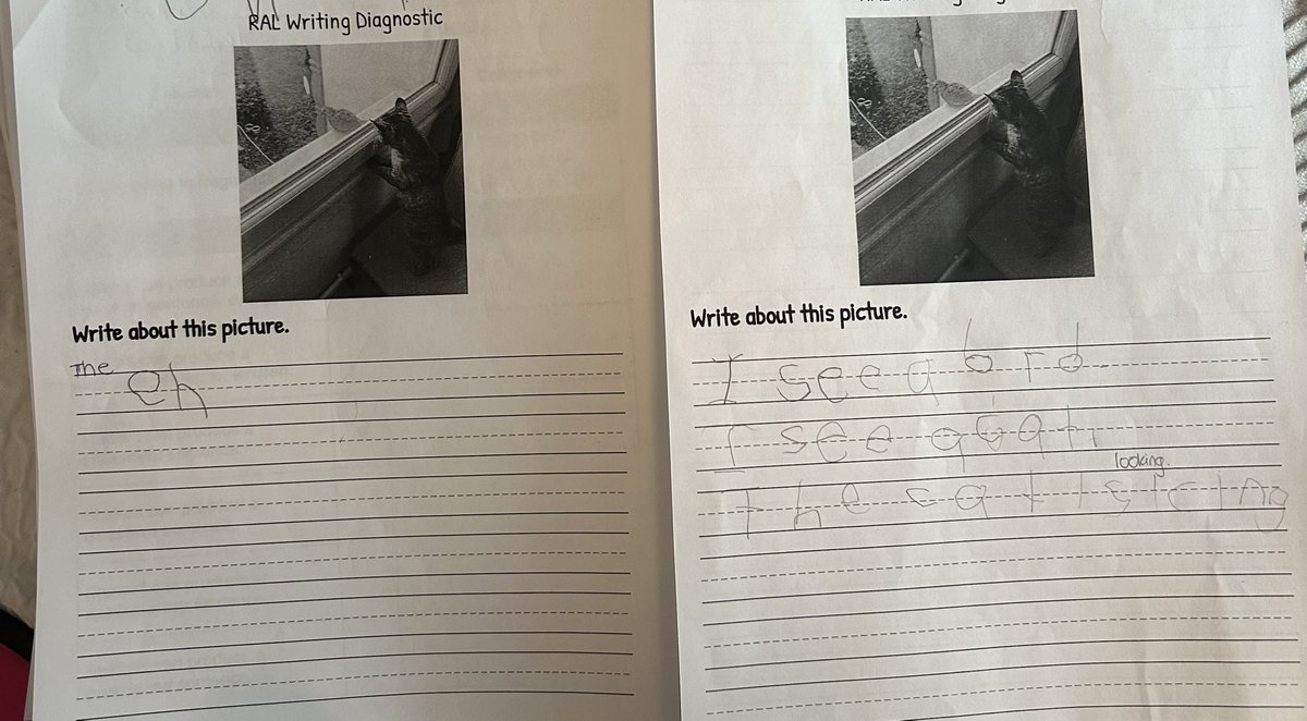 Ms. Frank tweet media