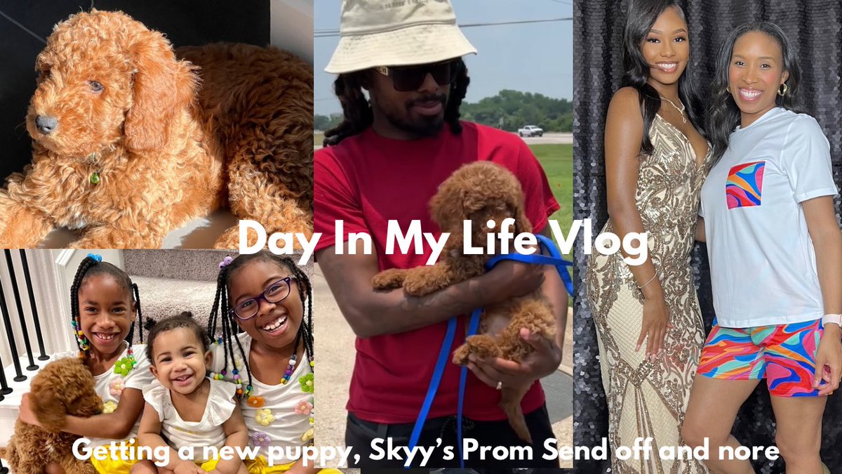 VLOG: Our Family Is Growing! (New Puppy Intro, Skyy's Prom Send-Off,  Brand Endorsements and more..) 

youtu.be/-9QMJAd1HGA?si…