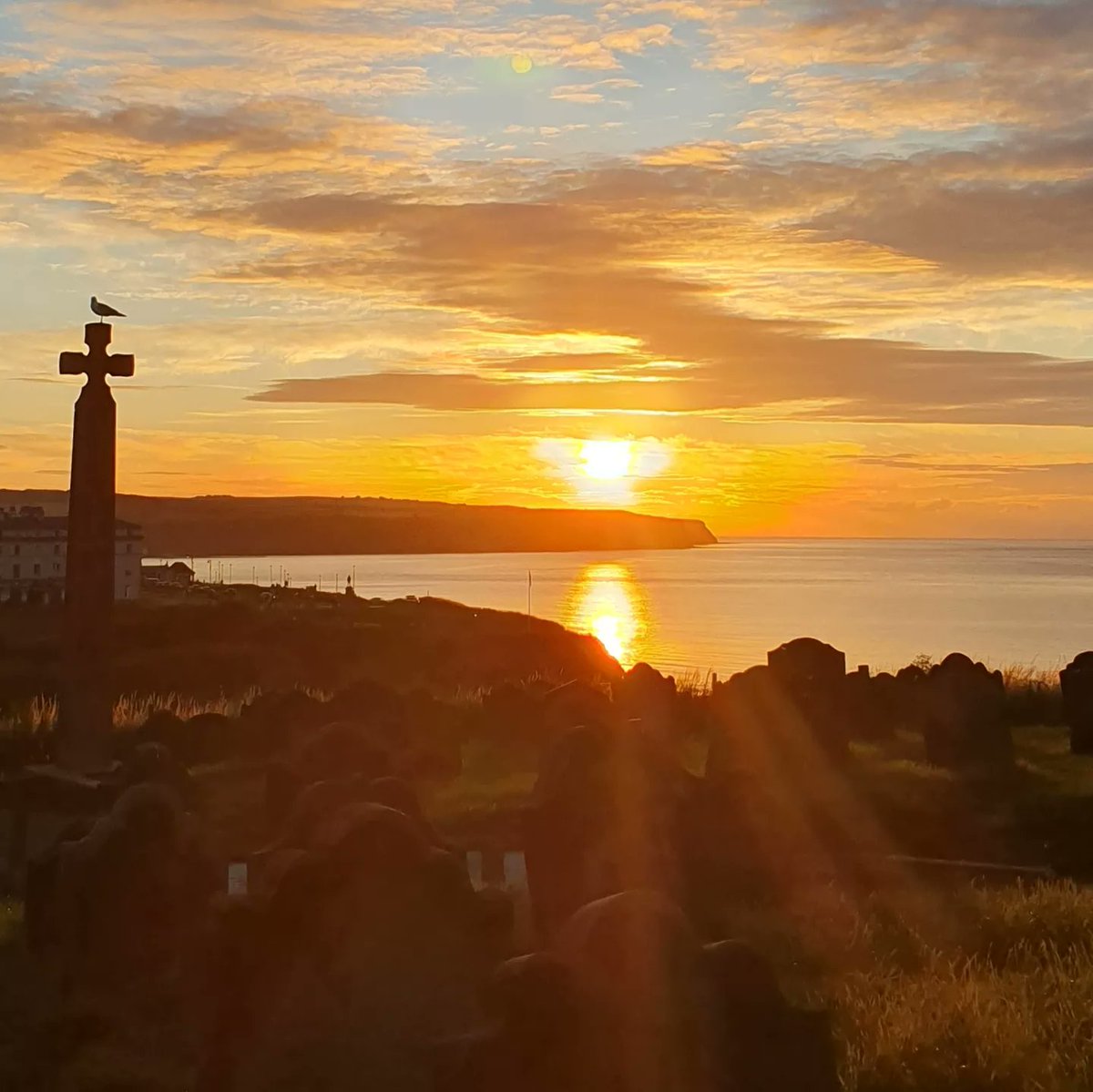 Ali Garb 😊🐞🐛🦋 tweet media