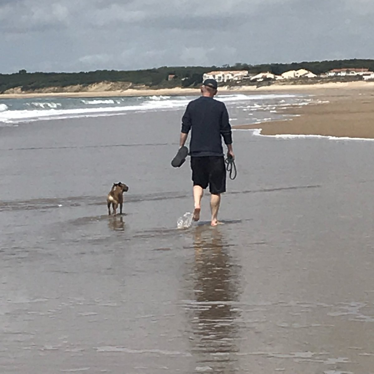 JessJBT's tweet photo. I have been totally overwhelmed by the likes &amp; messages of support following my post this time last week about the loss of our gorgeous Jessie. Thank you from the bottom of my heart 🙏 This is how I like to think of her now…on a beautiful beach with someone she loves #BTPosse https://t.co/PjNrdmSooo