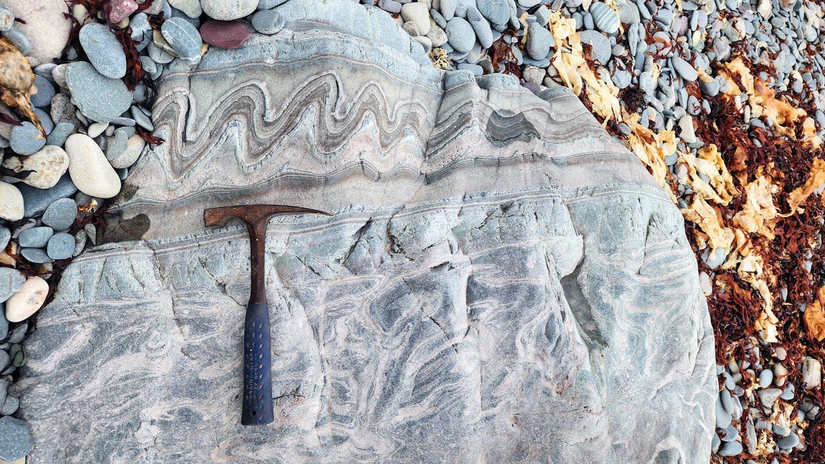 Folks, I give you an excellent rock! [Syn-depositional deformation in Ediacaran pyroclastics/flows, Scatarie Island, Nova Scotia.]