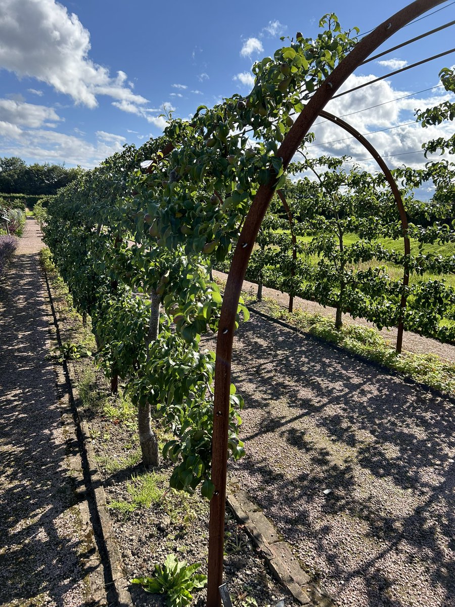 Zara Gordon Lennox tweet media