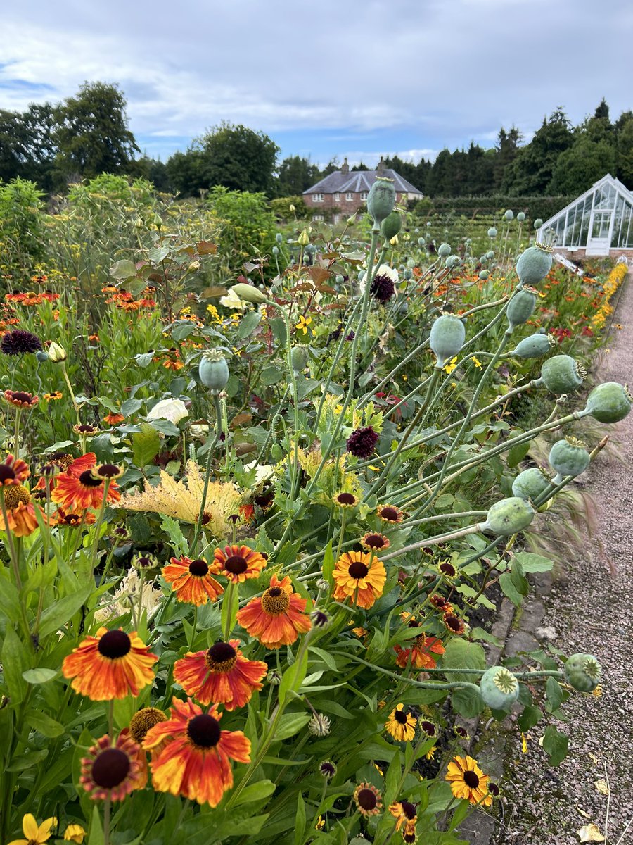 Zara Gordon Lennox tweet media