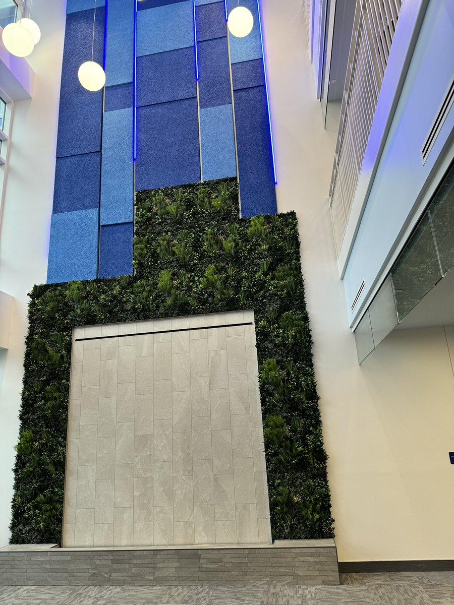 MrsBenzTIS's tweet image. Furniture is arriving, boxes are being moved in, and the completion date is just weeks away. Exciting things are happening at Trinity Area! 
@TRINITY_MLUCAS 
#TrinityIntermediateRocks