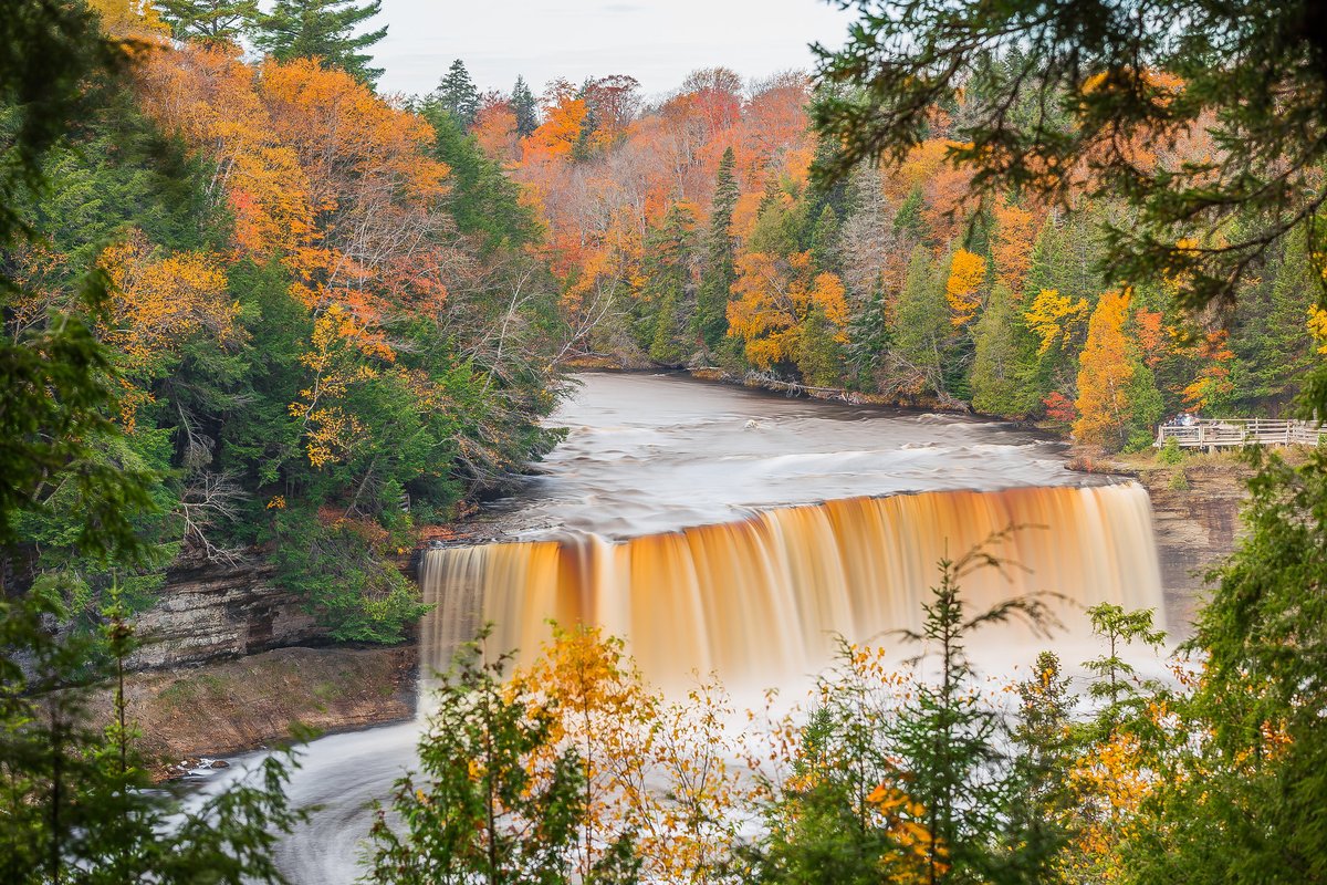 TrevorMahlmann tweet picture