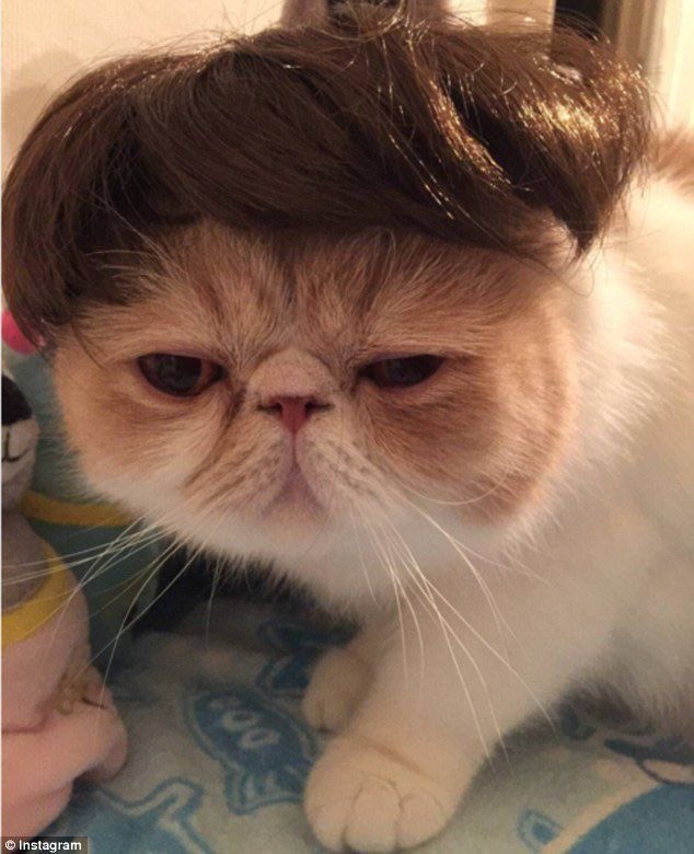 omg hi jonathan byers from stranger things!!!!