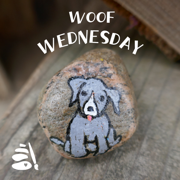 paintedrocksapp's tweet photo. 🐾🎨 Woof Wednesday is here! Check out this adorable painted rock of a dog. 🐶✨ Show us your pet-themed rock art and let’s celebrate our furry friends together! 🪨❤️ #WoofWednesday #DogLovers #RockArt #PaintedRocksApp #PetArt https://t.co/58Dp4mXbzC