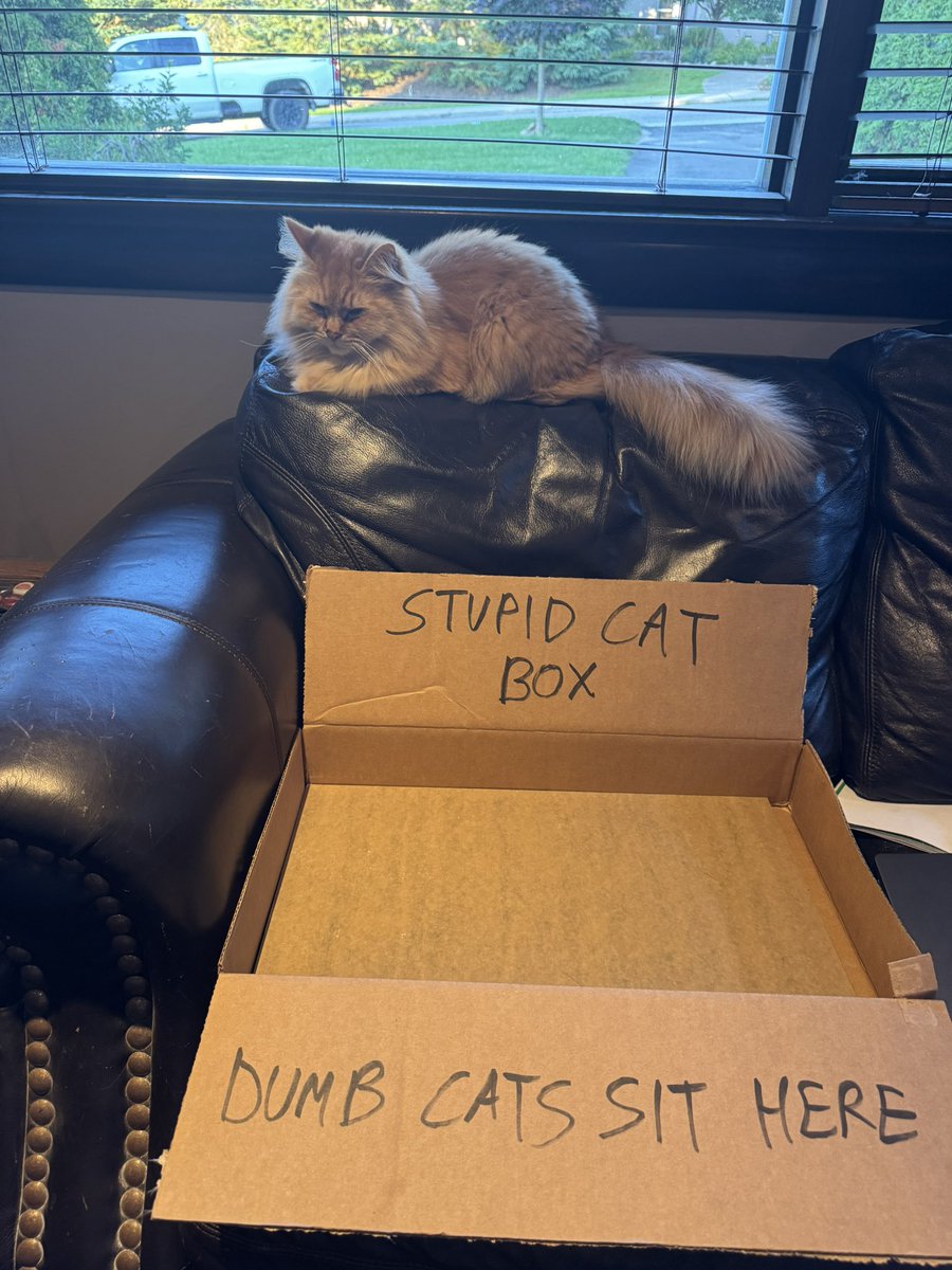 brownj218's tweet photo. @PunchingCat Didn’t work on mine 😒 https://t.co/CaSjgpy5Q1