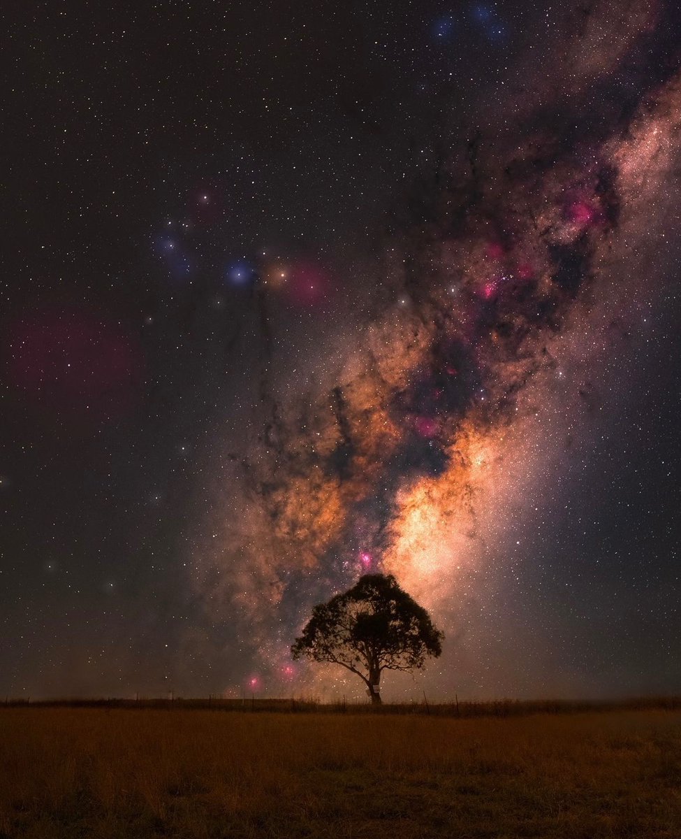 The night sky invites us to explore the unknown both within and beyond"✨