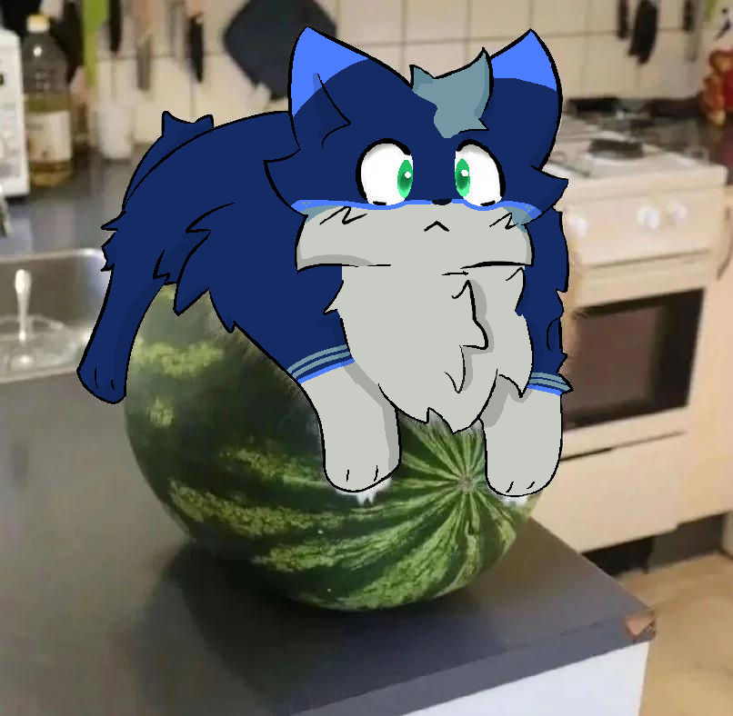 KiecoTheFox ΘΔ🏳️‍⚧️🔜CFZ26 tweet media