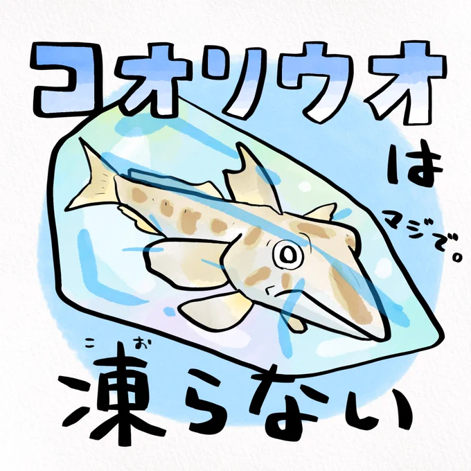 今日はかき氷の日、南極に凍らないさかながいる