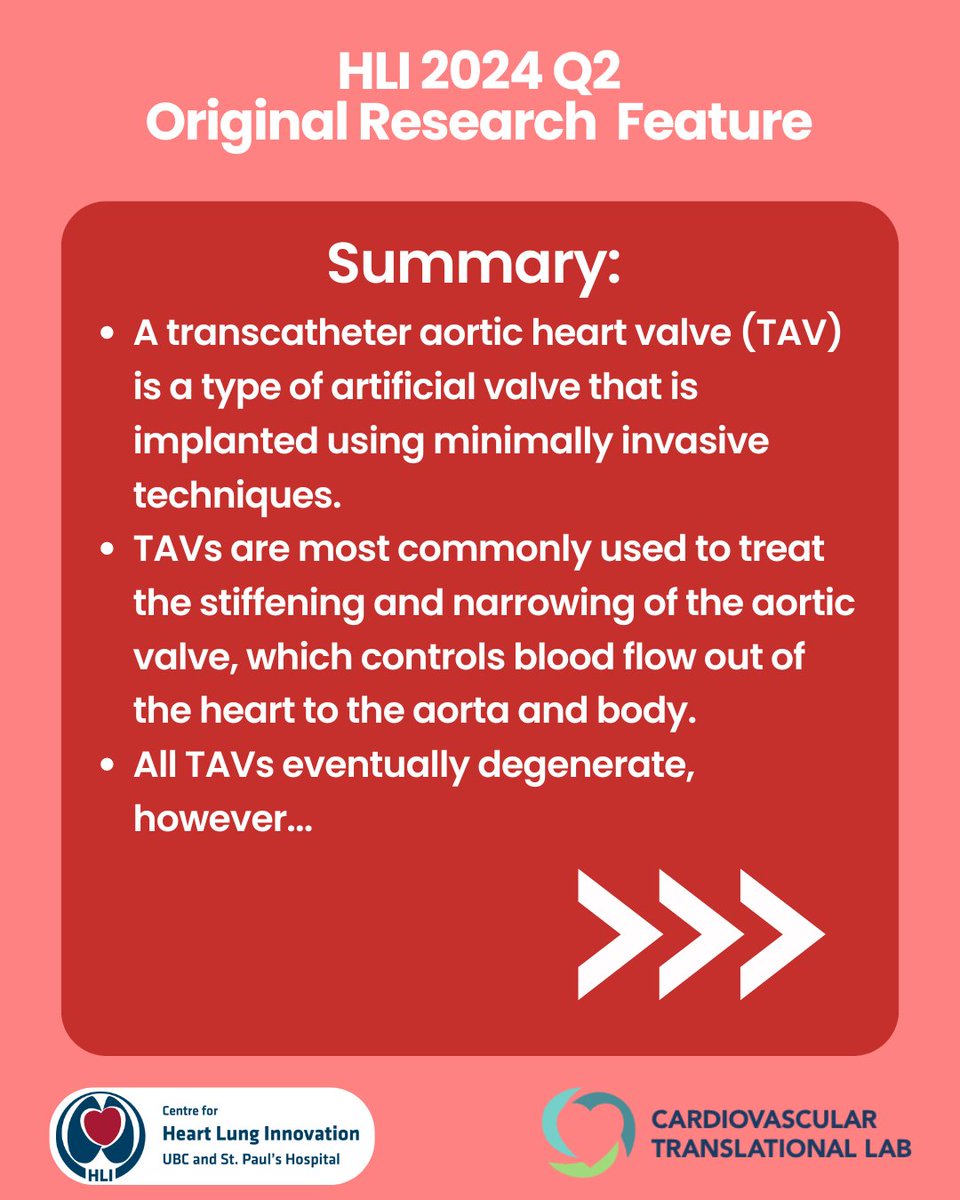 HLI at St Paul's tweet media