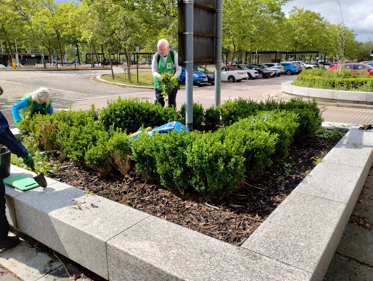 We worked on Silbury Boulevard this week.  Just a few volunteers for a few hours, making a difference in Central Milton Keynes