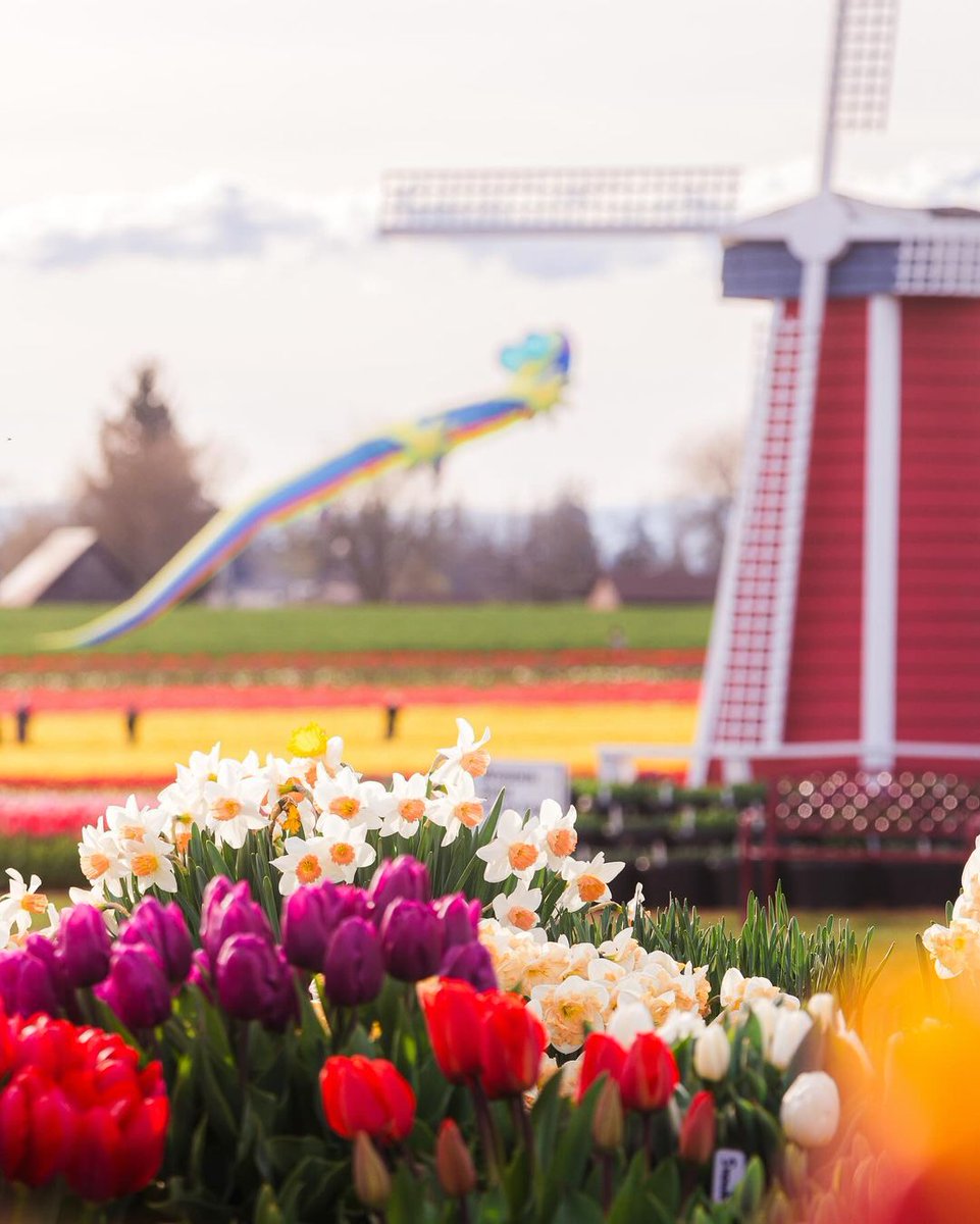 sharpmarc361's tweet image. #hike #nature #university