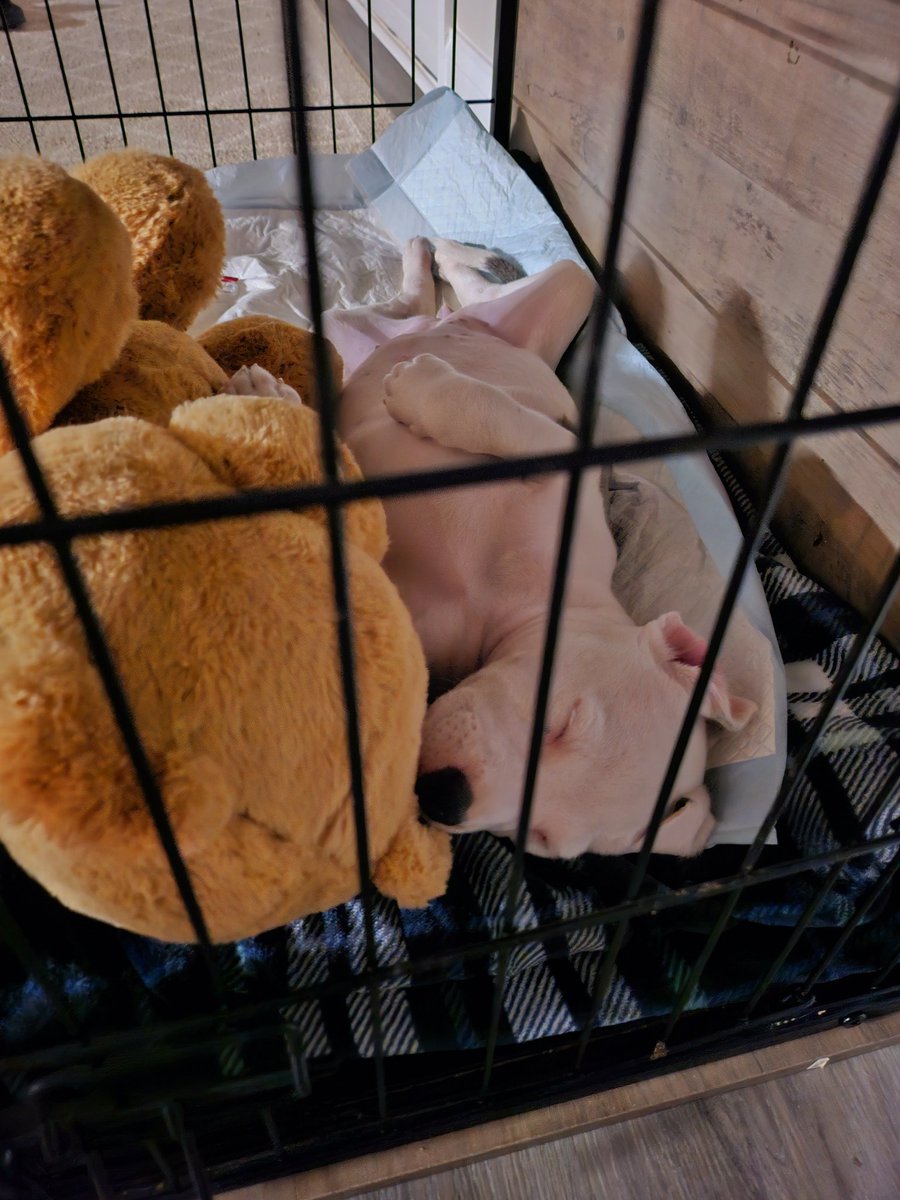 No worries at all!!! She living the Life 🤣