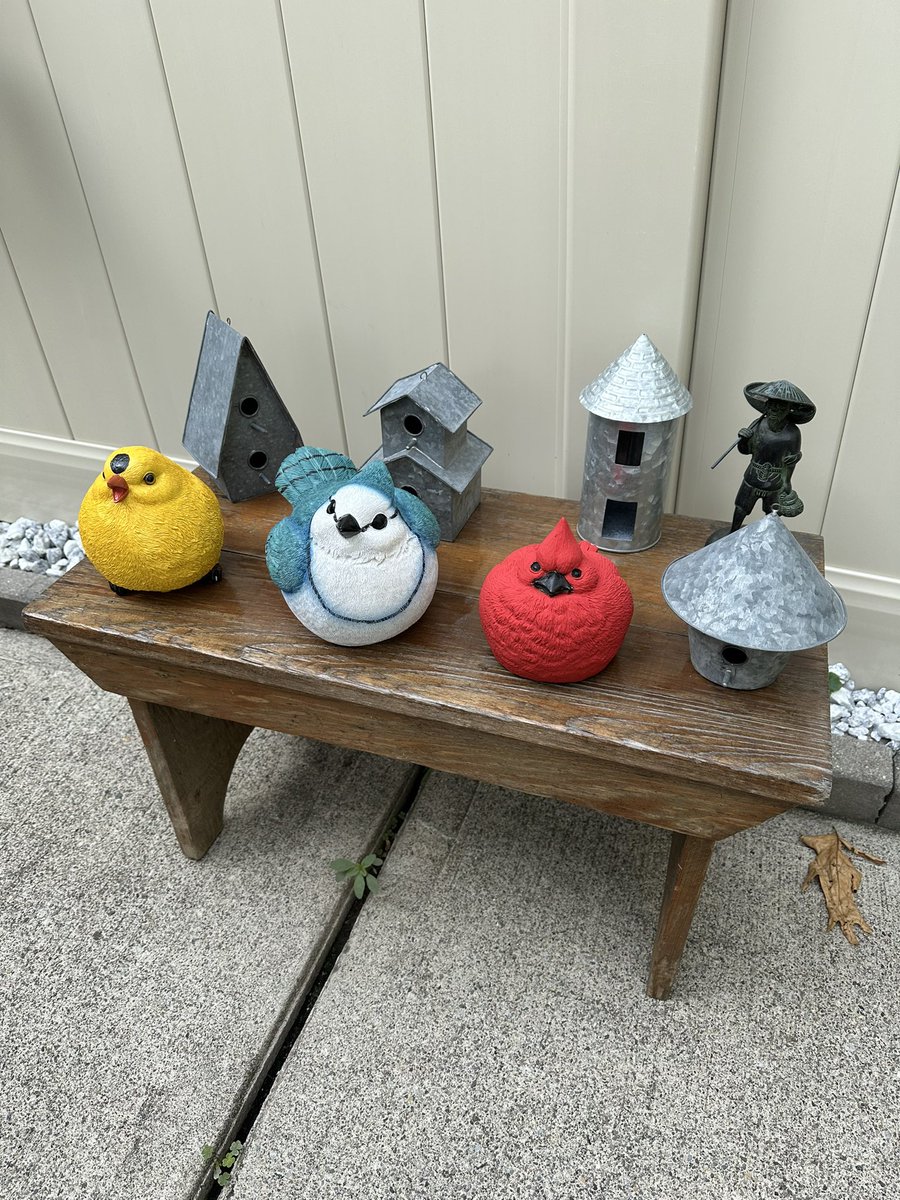 Got a flock of fat birds