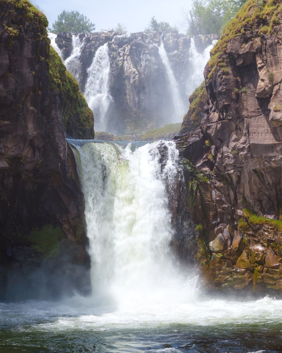 sharpmarc361's tweet image. #hike #nature #university