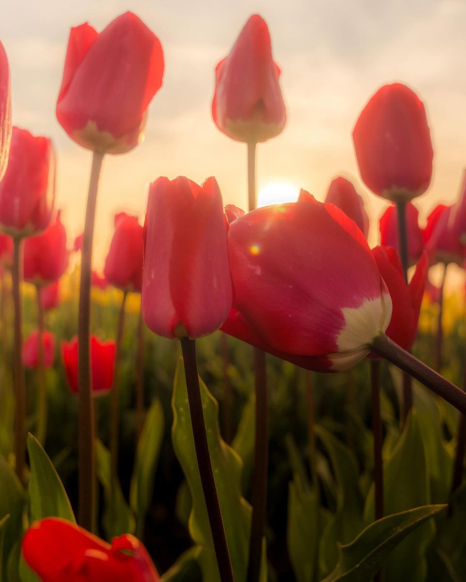 sharpmarc361's tweet image. #happy #nature #university