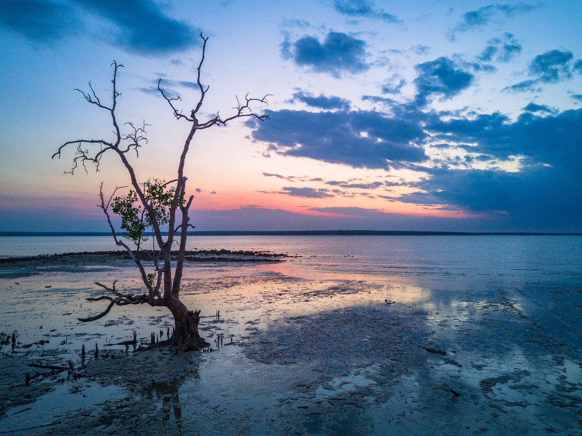 GM wonderful people.