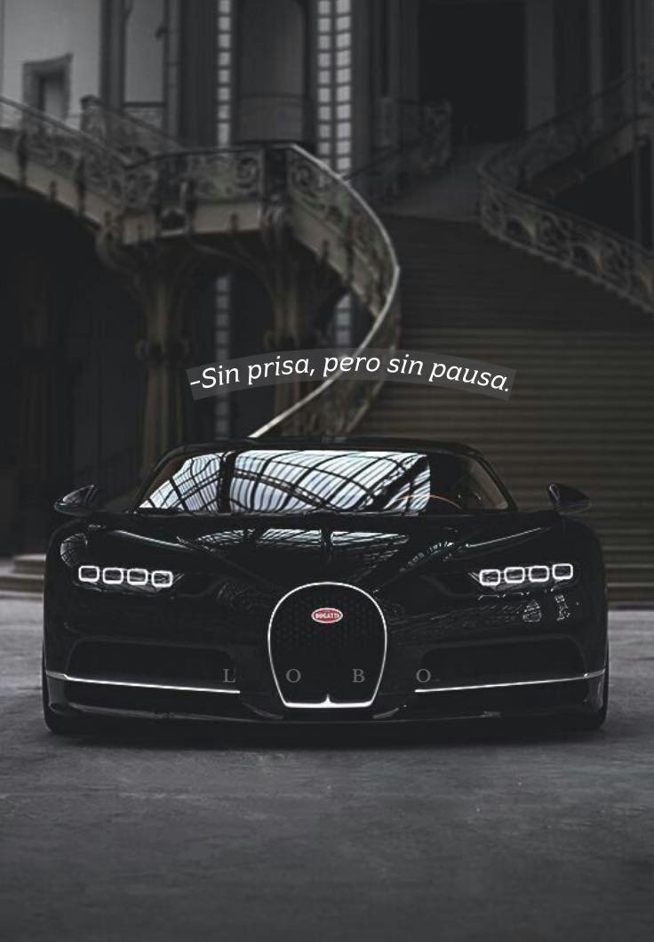 Bandidosfrasess's tweet photo. https://t.co/ELOorYyYyS