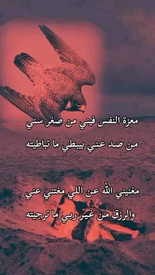 لم يُحبونا يوماً ،هُم كانوا بحاجه لأشخاص بقربُهم ليتجاوزو أيامهُم الصعبه ، ونحن كُنا نقوم بالمهمه..
