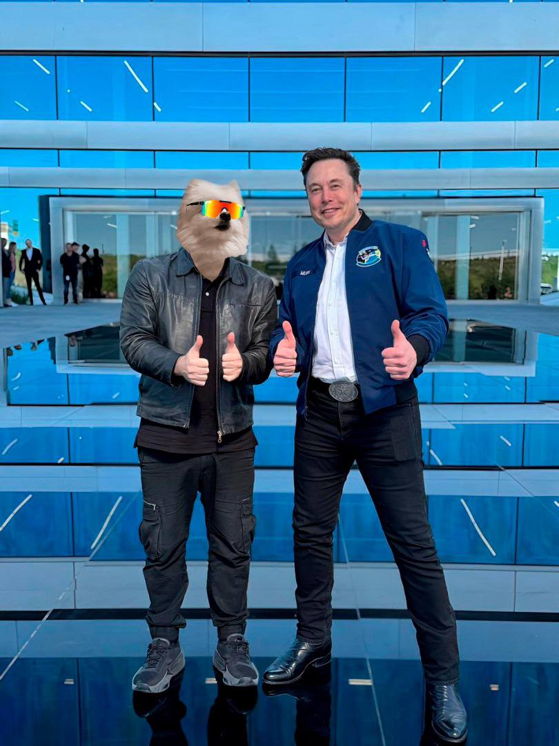 Bork mogging in the wild $BORK