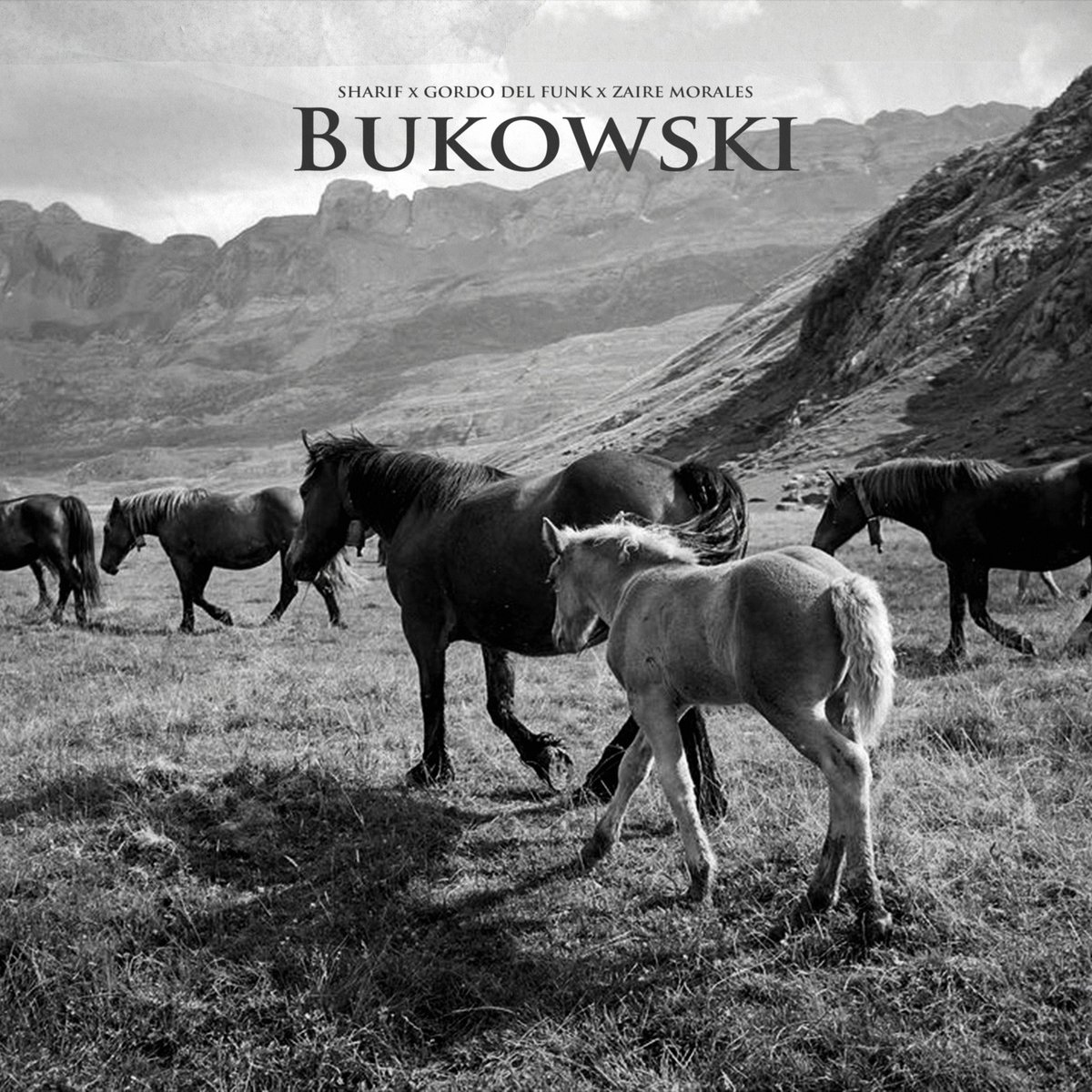 Para toda mi gente, “BUKOWSKI” tercer single de mi nuevo disco en solitario, ya es suyo. 

youtu.be/HkHrgLiPswg?si…