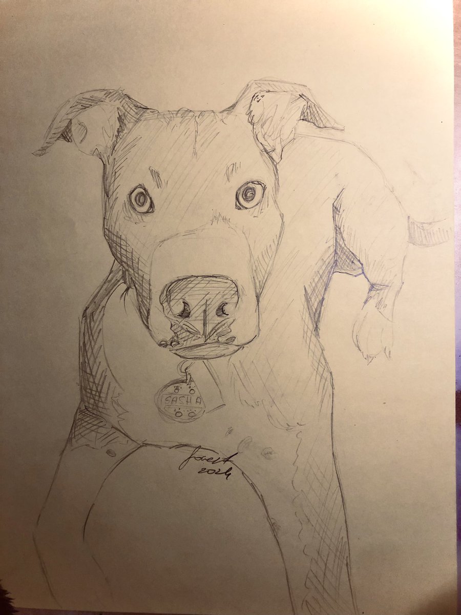I kinda forgor to post things here, drew a cute doggie today #markers #markerart #alcoholmarkers #aquamarkers #watermarkers #dogart #art #traditionalart yes it’s mixed media #artistsontwitter