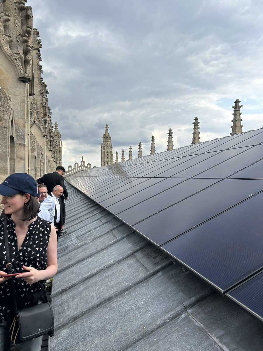 Dr Mark Purcell tweet media