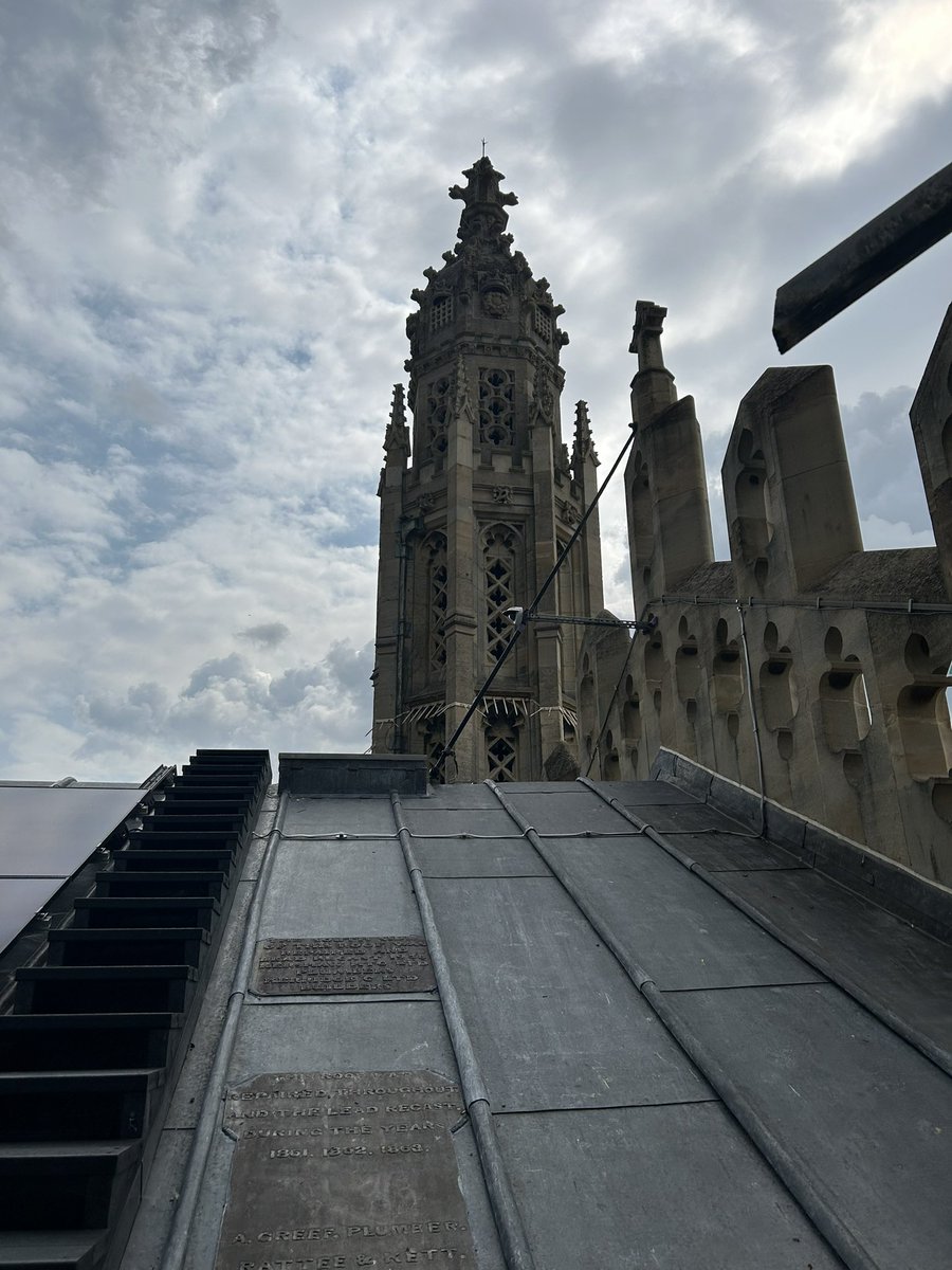 Dr Mark Purcell tweet media