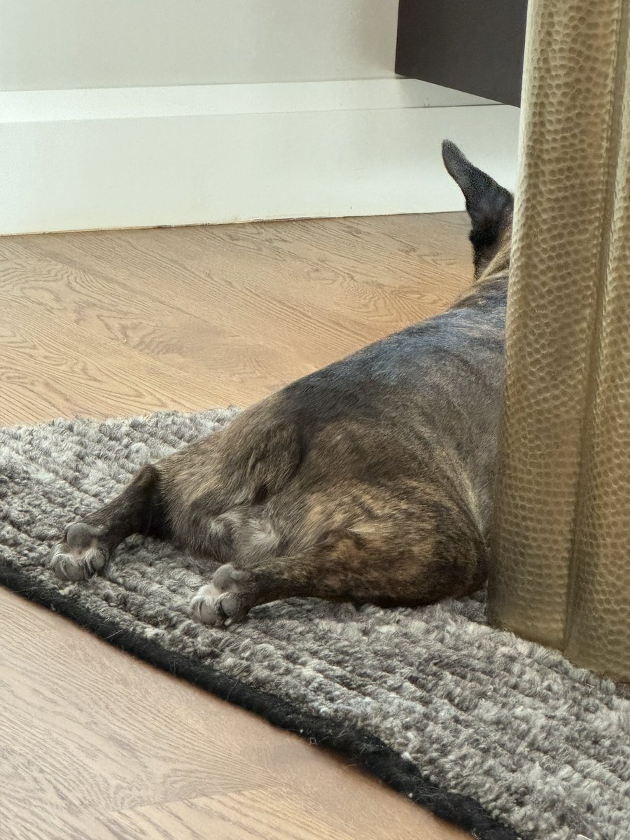 Rachel M. Frank, MD tweet media