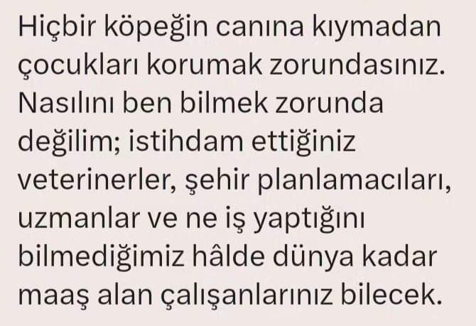 İşte o kadar! 

#YasaDeğilCinayet