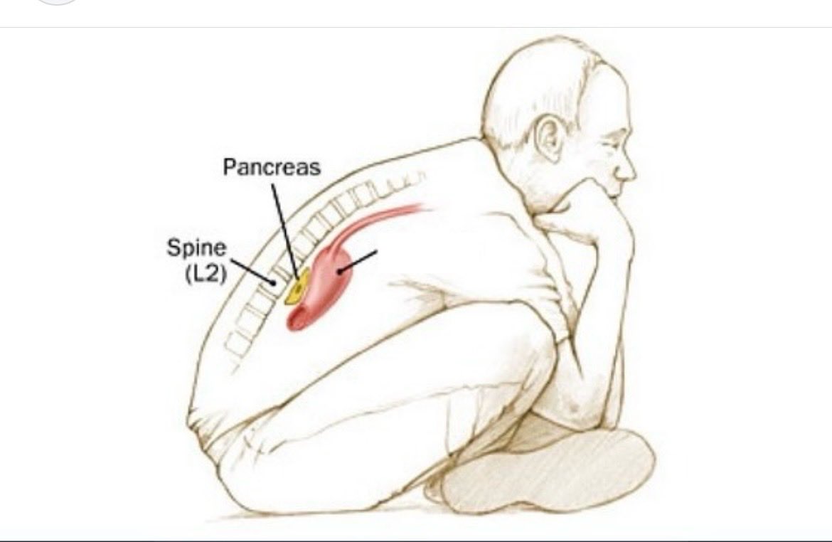 Oren Gottfried, MD tweet media