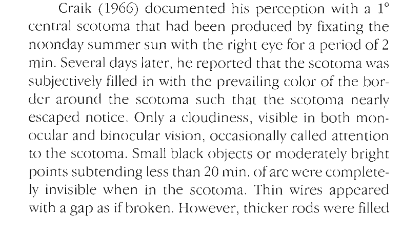 Natela Shanidze tweet media