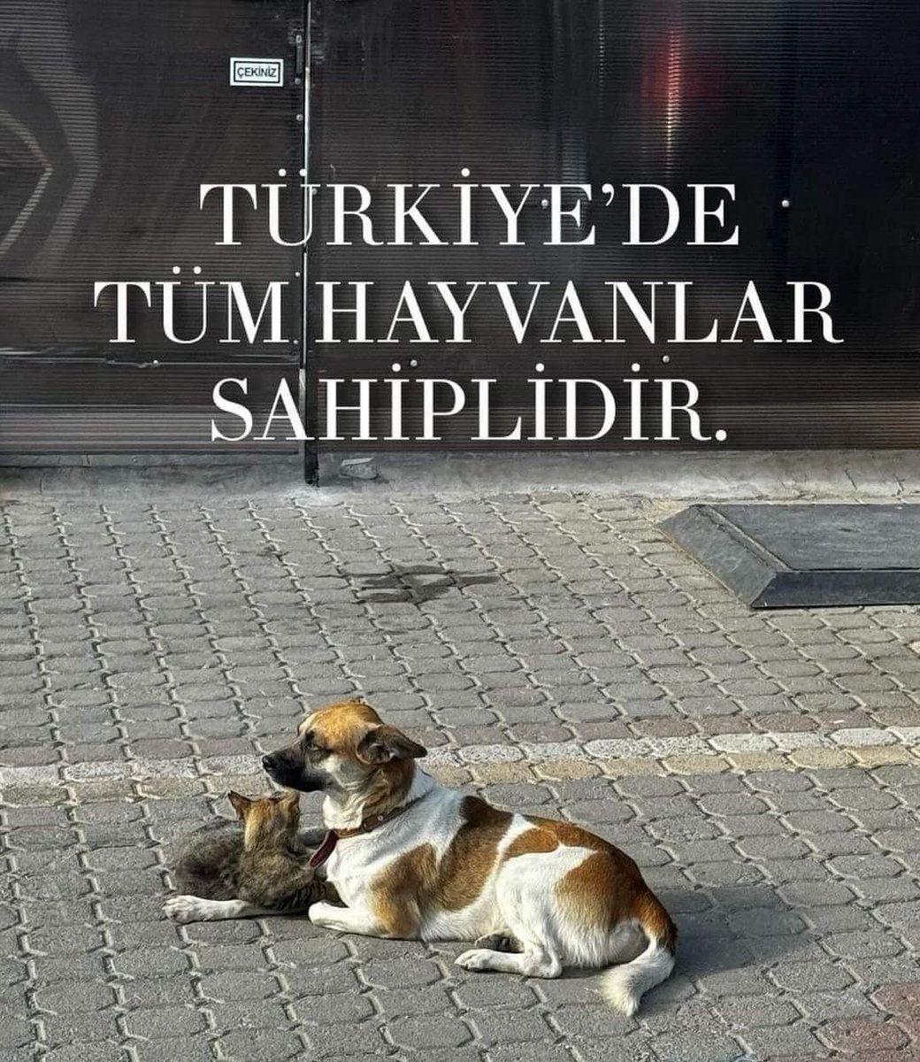 #YasaDeğilCinayet ❗