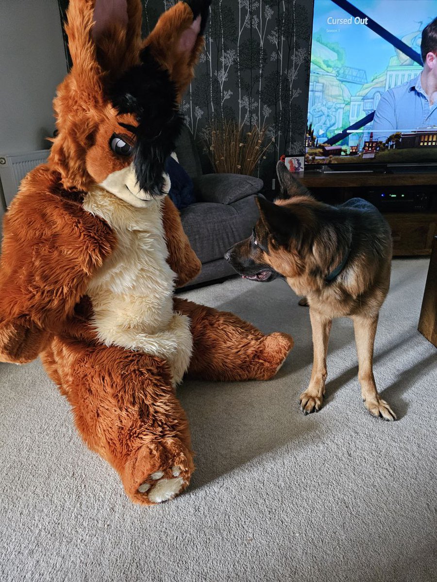 PupCerberus's tweet photo. Doggy seams confused 😂 #bitchsuit
Maker: @linkywollf https://t.co/01JhJR9S5b