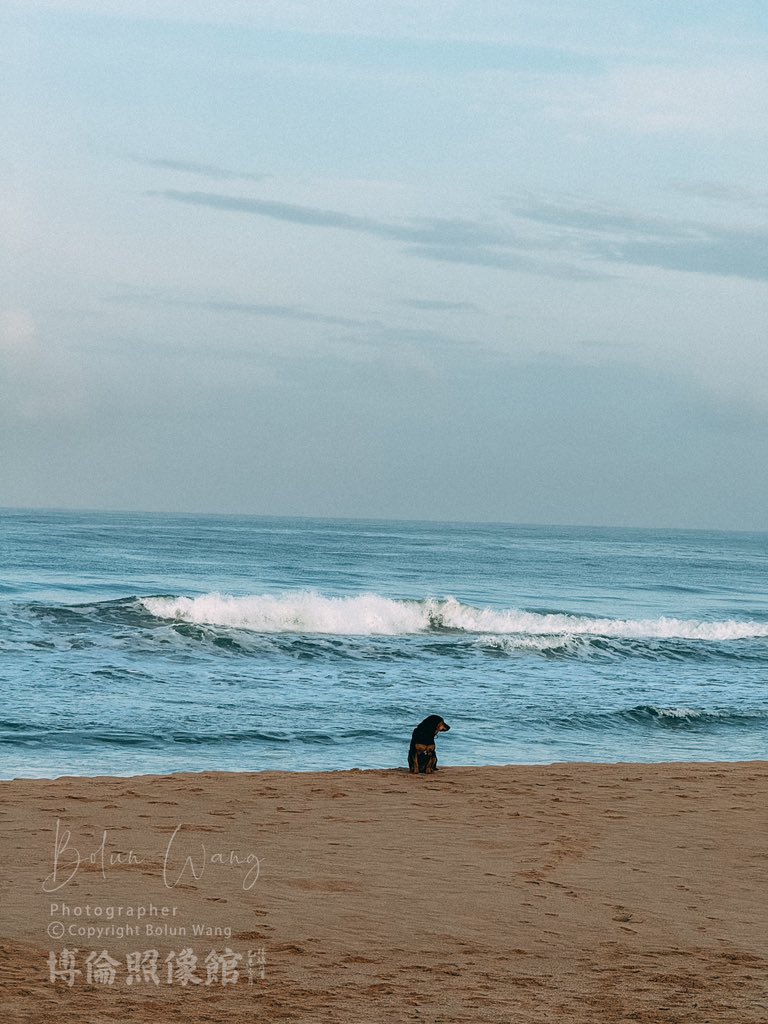 小島樹 tweet media