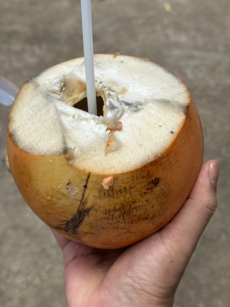 小島樹 tweet media