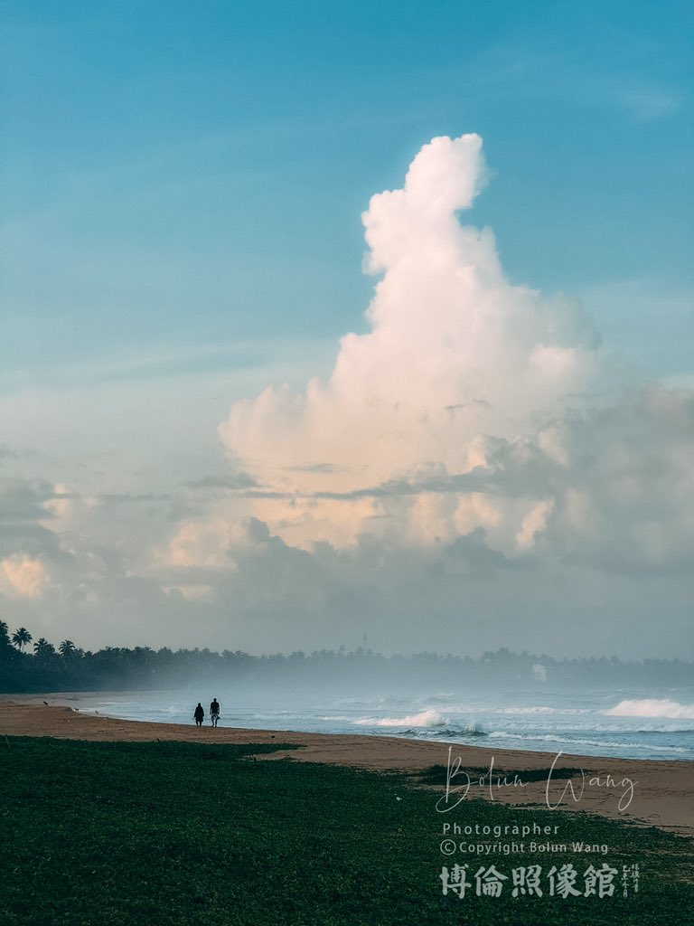 小島樹 tweet media