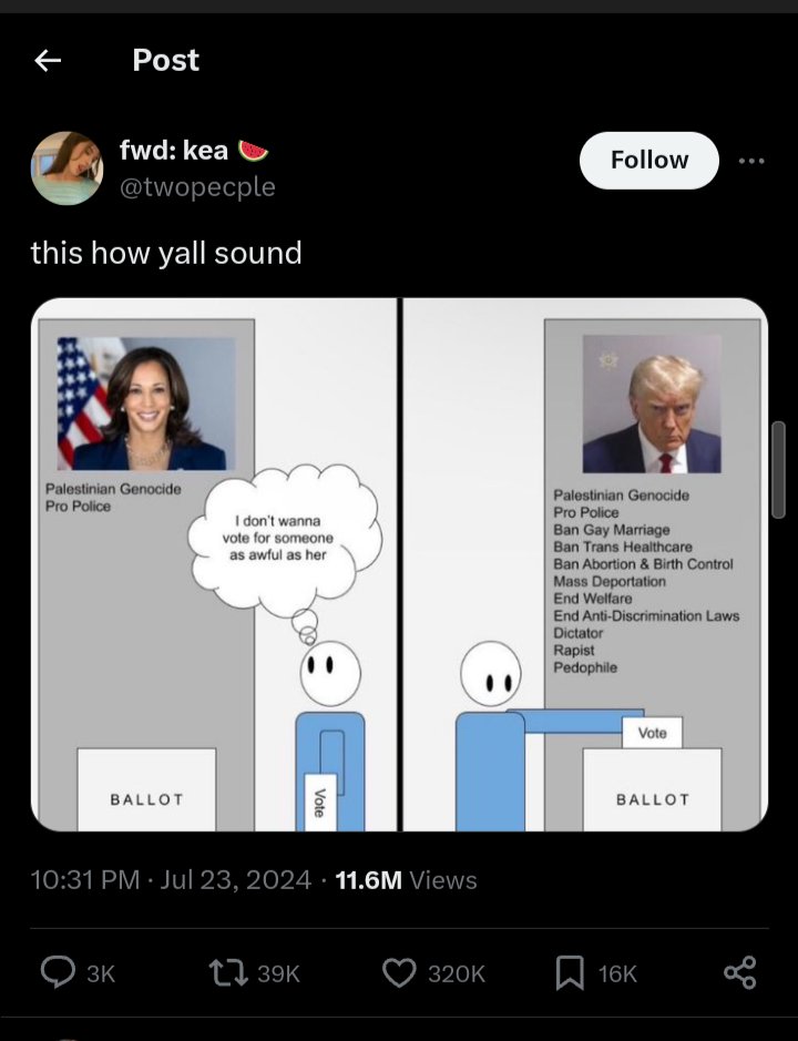Kamala paid for every one of those 320k votes from a Hacker named Nikoli.