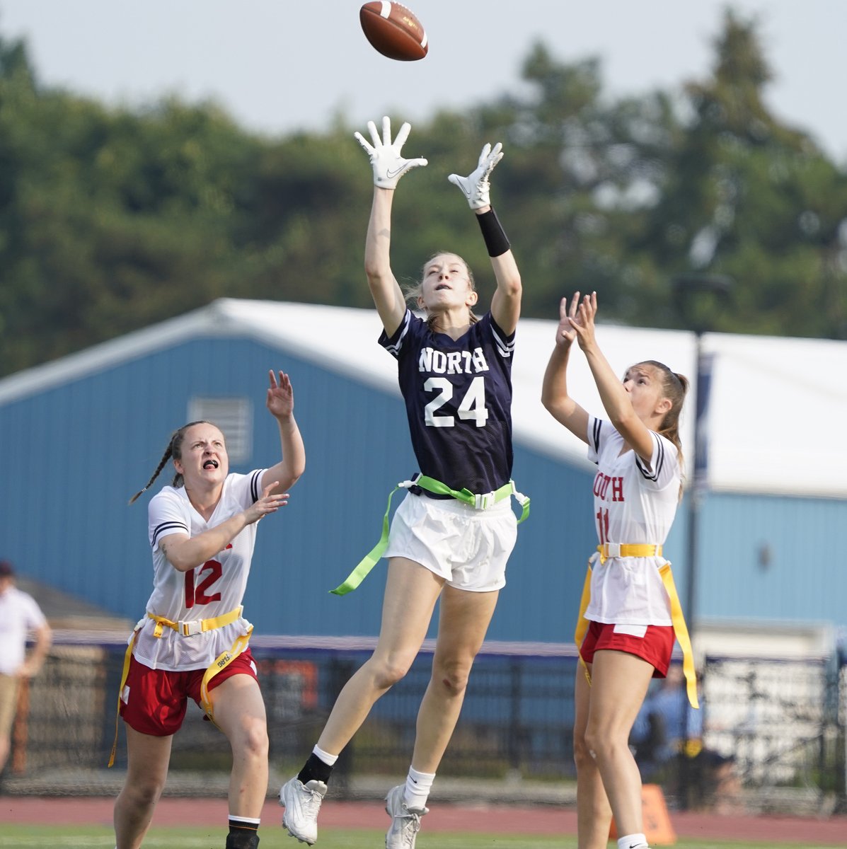 Harry Scull Jr tweet media