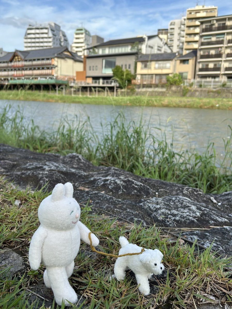 chiku2_nonako's tweet photo. 愛犬のことを見ながら散歩している人を見ると嬉しくなるので、それを作りました
せっかくなので外で撮った https://t.co/Weeudsr7Mf