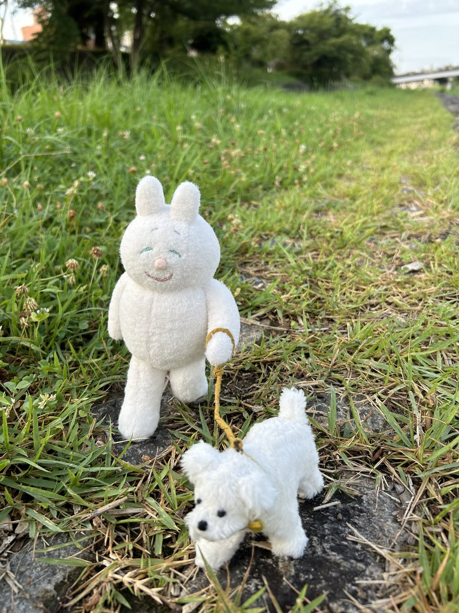 chiku2_nonako's tweet photo. 愛犬のことを見ながら散歩している人を見ると嬉しくなるので、それを作りました
せっかくなので外で撮った https://t.co/Weeudsr7Mf