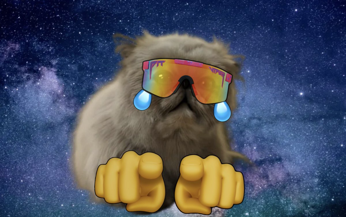 MrMogglesOnBase's tweet photo. @weirdoBase #GetMoggled 🫵😼 https://t.co/lgainIo0hV